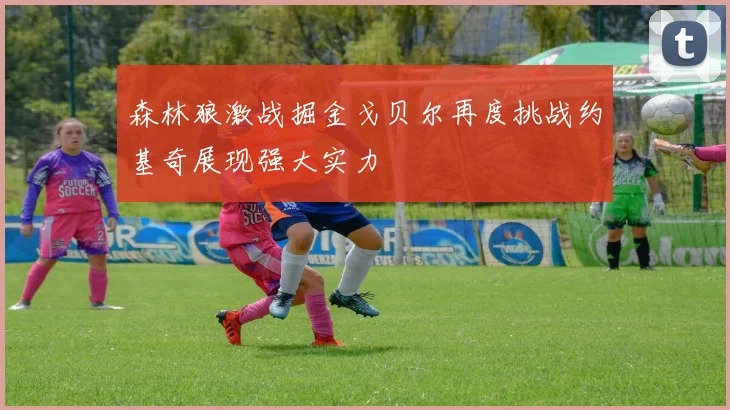 森林狼激战掘金戈贝尔再度挑战约基奇展现强大实力